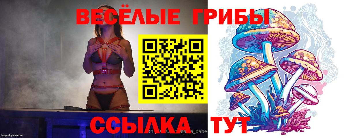 Балашов  Псилоцибиновые грибы Psilocybine cubensis  Вход с VPN 